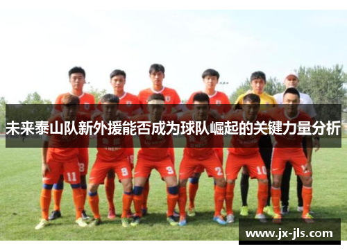 未来泰山队新外援能否成为球队崛起的关键力量分析